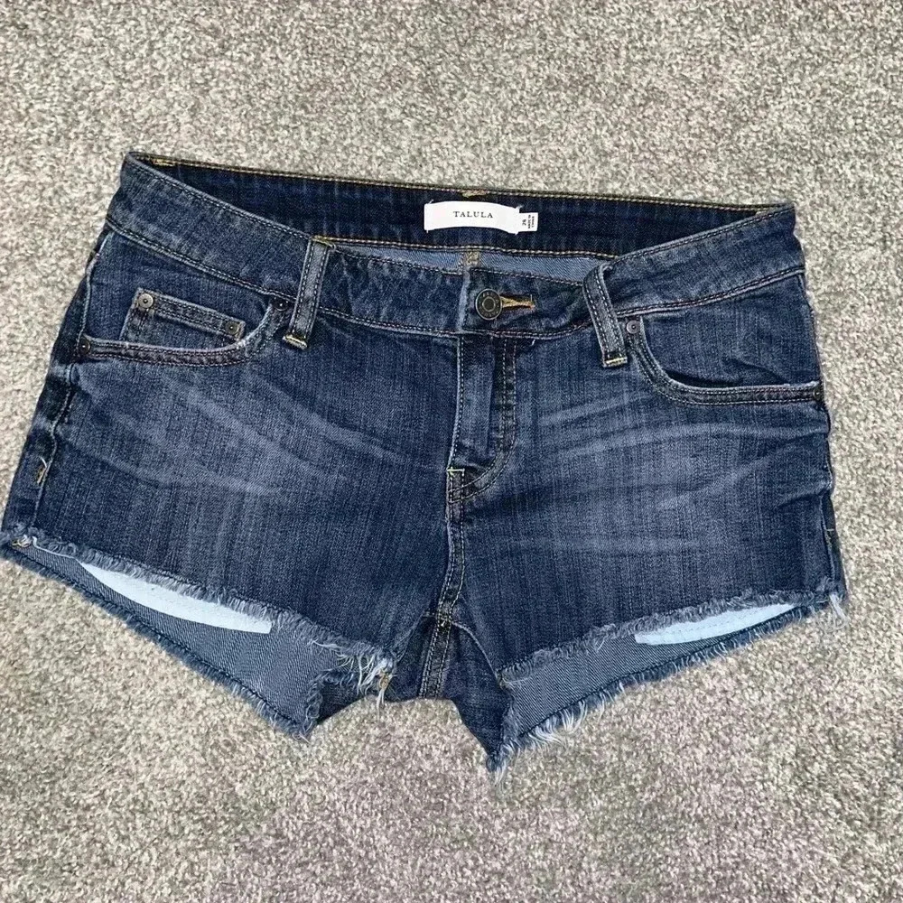 Aritzia -  Talula Shorts
